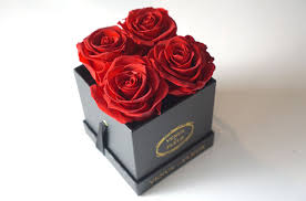 Treat yourself to huge savings with venus et fleur coupons: Creed Archives Pretty Connected