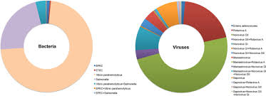Overview of gastroenteritis, by thomas g. Epidemiological And Clinical Differences Between Sexes And Pathogens In A Three Year Surveillance Of Acute Infectious Gastroenteritis In Shanghai Scientific Reports