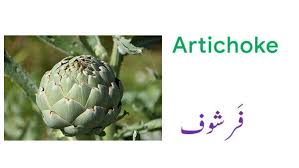 Vegetable Names In English And Urdu With Pictures Download Pdf In 2020 Vegetables Name Of Vegetables Vegetables Names With Pictures