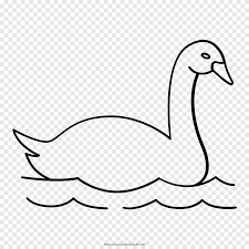 Check spelling or type a new query. Bebek Cygnini Angsa Menggambar Buku Mewarnai Bebek Putih Hewan Png Pngegg