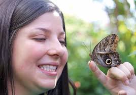 Carleton's butterflies a hit!