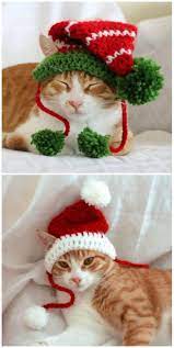 Christmas Cat Hats Make Purrrfect Gift The Whoot Crochet Christmas Hats Cat Christmas Gift Crochet Cat Hat