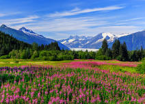 Internal Medicine Update and Dermatology for Primary Care