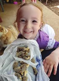 Lions Club's auction is this Friday at GHS