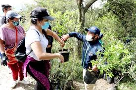 Ardila fue gobernador de cundinamarca entre 2004 y 2007. Uz5rfs5n5urwpm