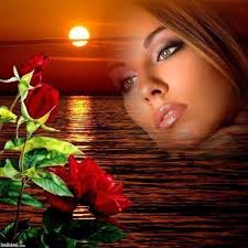 Профессионал, учебный центр, НГАУ, улица Никитина, 149, Новосибирск — 2ГИС