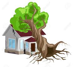 Maison Detruite Arbre Tombe Sur La Maison Fissures Dans Les Murs De La Maison Assurance Habitation Isole Sur Blanc Illustration Vectorielle Clip Art Libres De Droits Vecteurs Et Illustration Image 47527699