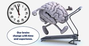 Aqa A Level Biopsychology Brain Plasticity And Recovery After Trauma