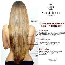 The Posh Hair Hair Extensions Boutique Human Hair Extensions Swatch 1 Jet Black
