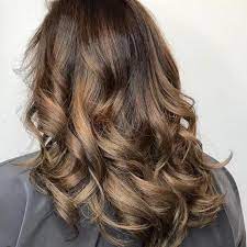 Bring the rhubarb and water to a boil and then allow it to cool. 16 Brown Hair Colors From Bronde To Brunette Wella Professionals