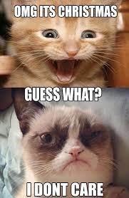 Funny Christmas Grumpy Cat Memes Grumpy Cat