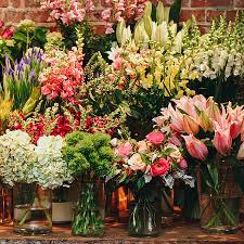 Enjoy offering an outsanding flower bouquet, 100% faithful to your order. Plant And Flower Delivery Nyc Plantshed Com