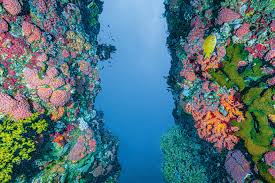 We hope this will help you to understand spanish better. Why We Need To Focus On Saving The Oceans This Year Time
