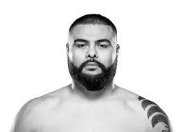 Oscar Cota MMA Fight History