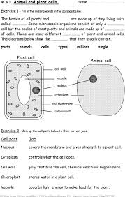 We did not find results for: Ks3 Science Revision Worksheets Pdf Free Download