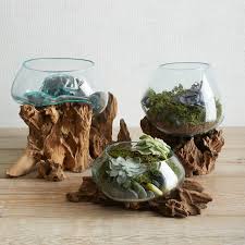 Wood Recycled Glass Terrariums Glass Terrarium Succulent Terrarium Wood Glass