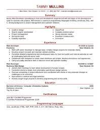 Excellent analytical thinking and diagnostic abilities. Resume Writing Services For Information Technology Information Technology It Resume Sample
