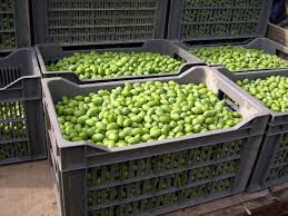 Huiles Et Olives Preparation Huiles Et Olives