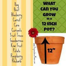 What Can You Grow In A 12 Pot Planting Depth Revealed Growing Vegetables Growing Herbs Container Gardening