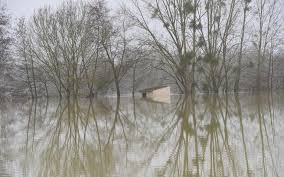 Auteurs liés en tant que auteur du texte (2). Seine Et Marne En Cas De Crue Des Agriculteurs Sacrifient Leurs Champs Pour Preserver Le Grand Paris Le Parisien