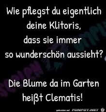 Trick und peinlich freunde, familie und andere. Blumenpflege