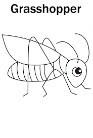 Cute Little Grasshopper Coloring Page Download Print Online Coloring Pages For Free Color Nimbus