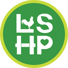 When you want to hit the road for an adventure, a camper is an integral part of the equation. About Lifestyle Solutions Healthy Planet Lifestyle Solutions Healthy Planet