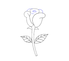 Learn how to draw cartoon flowers. How To Draw A Simple Rose Easy Drawing Guides
