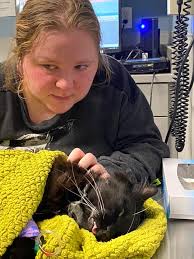 Write a sad story in only 4 words. 😢