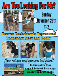 Find in tiendeo all the locations, store hours and phone number for pet smart stores in denver co and get the best deals in the online circulars from your favorite stores. Ddrt Calendar Denver Dachshund Rescue Transport