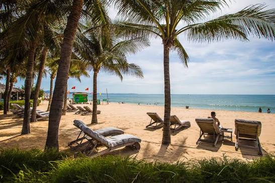 Wind, sand and sea: Mui Ne's must-do list | Vietnam Tourism