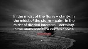Mary Anne Radmacher Quote In The Midst Of The Flurry Clarity In The Midst Of The Storm Calm In The Midst Of Divided Interests Certainty I