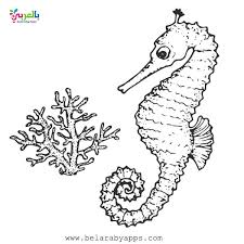 Download this adorable dog printable to delight your child. Free Printable Sea Animals Toddler Coloring Page Belarabyapps