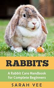 They can be trained to learn commands and play games even care sheet information on the supplies necessary to care for your pet rabbit. Rabbits A Rabbit Care Handbook For Complete Beginners Rabbits As Pets Rabbit Books Rabbit Care 1 Kindle Edition By Yee Sarah Children Kindle Ebooks Amazon Com