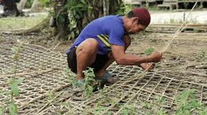 Ada 20 gudang lagu langsatan alat tangkap ikan tradisional traditio terbaru, klik salah satu untuk download lagu mudah dan cepat. Kampung Bubu Di Penajam Dikenal Dengan Produk Kerajinan Alat Tangkap Ikan Tradisional Tribun Kaltim