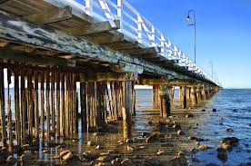 Shorncliffe Pier A Photo From Queensland East Trekearth Local Travel Saint Helena Island Australia