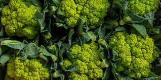 Campo di cavoli immagini gratis. Cavoli Broccoli Verza Il Menu Invernale E Servito Fruttattiva
