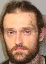 Sex offender caught after manhunt