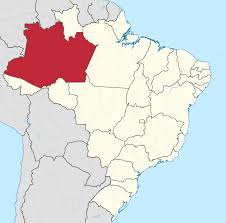 Amazonas definition, a state in nw brazil. Amazonas Brazilian State Wikipedia
