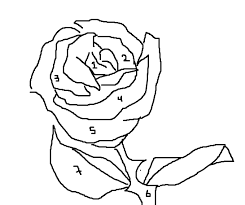 Como Se Dibuja Una Rosa Quora