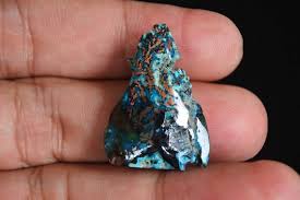 Image result for Chrysochloa