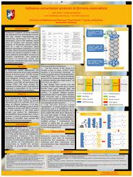 Finish and polish as needed. Pdf Adhesive Cementation Protocol Of Zirconia Restorations