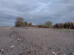 Check spelling or type a new query. Kampanye Alam Bantu Yogyakarta Hadapi Abrasi Di Pesisir Pantai Bugel Lindungihutan