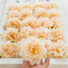 I am fairly new at pressing flowers and i could use some help. Shop Quality Dried Flowers Wholesale Uk Quality Dried Flowers Wholesale Free Delivery To Uk Dhgate Uk