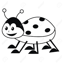 Download Ladybug Coloring Book Royalty Free Cliparts Vectors And Stock Illustration Image 23867524