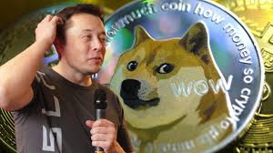 The tesla ceo has made no secret of his love for doge. Yeah It S A Hustle Dogecoin Bricht Nach Elon Musk Auftritt Bei Snl Ein