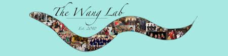The Wang Lab