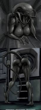 Xeno rule 34