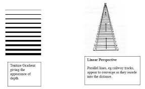 Visual Perception Simply Psychology Visual Perception Perception Perception Theory