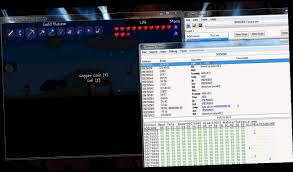 Terraria Damage Cheat V 2020 G